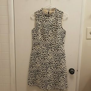 LOFT Ann Taylor dress
